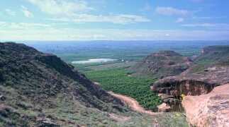 La agricultura de tráfico controlado mejora la producción de fruta dulce en España